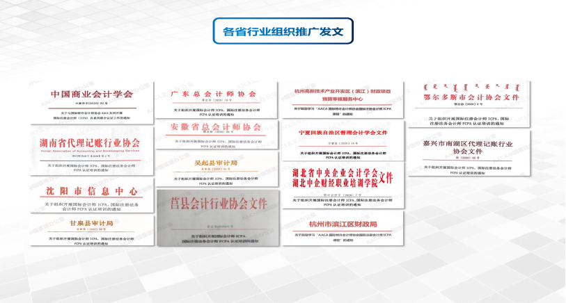 国际注册会计师ICPA：高端人才引入证明