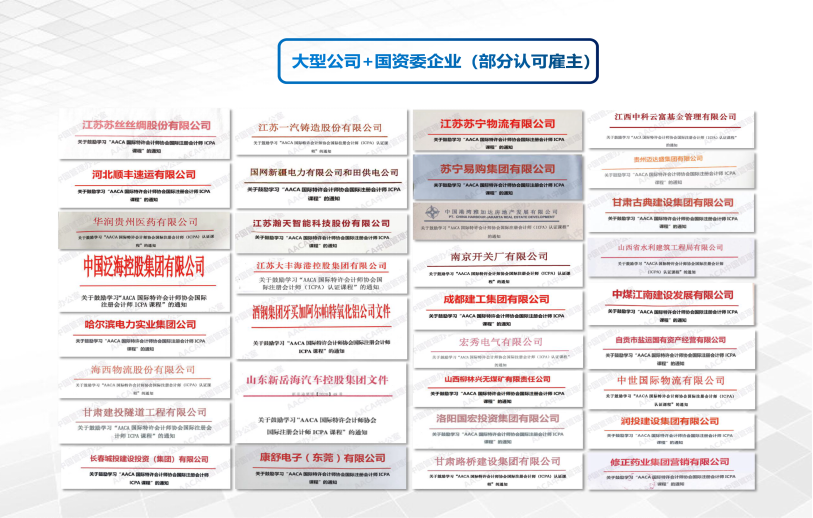 国际注册会计师ICPA：高端人才引入证明